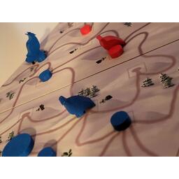 Clash of Galliformes Zoom