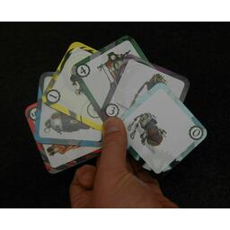Robot Master Cartes