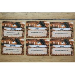 51st State: Master Set - Scavengers Cards