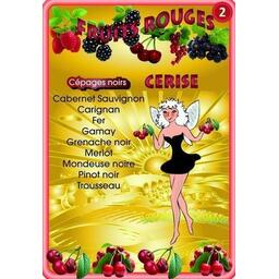 Le Portrait du Vin en Alsace Carte