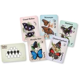 Papillons Célestes Eclate