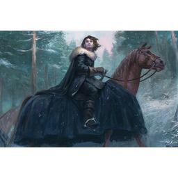 Le Trône de Fer: Le Jeu de Cartes - Les Loups du Nord Artwork