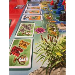 La Chevauchée des Grenouilles Zoom