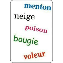 Tam Tam: Safari - CE1 - Niveau 1 Eclate