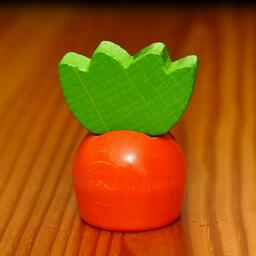 Course de Lapins Zoom