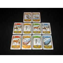 1911: Amundsen vs Scott Cartes