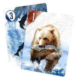 Kodiak: L'Île aux Saumons Cartes