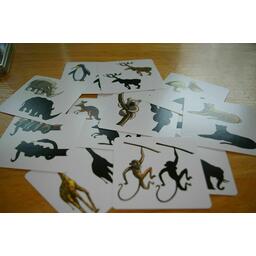 Panicozoo 2006 Cartes