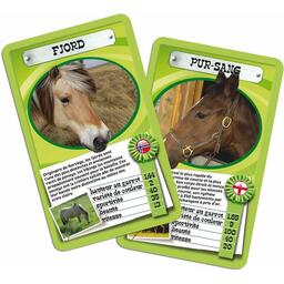 Top Trumps: Jeu de Bataille - Chevaux et Poneys Cartes