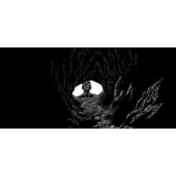 Arkham Noir: Affaire #1 - Les Meurtres du Culte des Sorcières Artwork