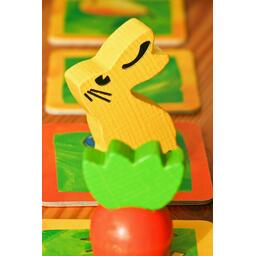 Course de Lapins Zoom