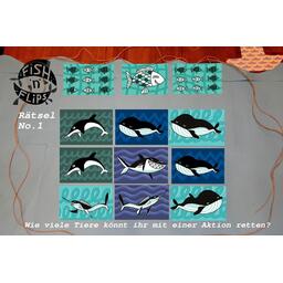 Fish 'n' Flips Cartes