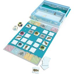 Oursons Taquins Eclate