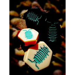 Hive: The Pillbug Zoom