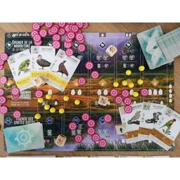 Wingspan: Extension Océanie Eclate