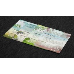 Black Skull Island Cartes