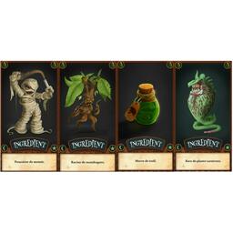 Potions & Sortilèges Cartes