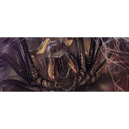 Le Seigneur des Anneaux: Le Jeu de Cartes - La Terre de l'Ombre Artwork