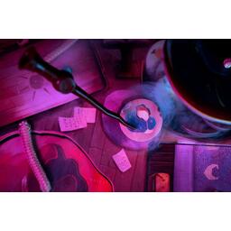 La Cabane a Potion Zoom