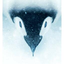 L'Empereur: Le Jeu Artwork