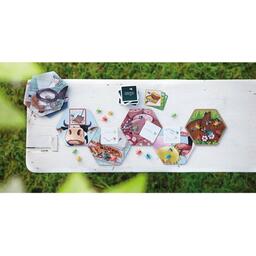 Festin de Mouches: Qui Ose Gagne ! Eclate