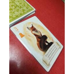 Le Renard des Bois Zoom