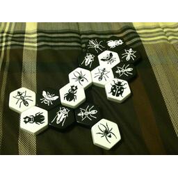 Hive Carbon 2010 Eclate