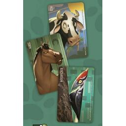 Similo: Animaux Cartes