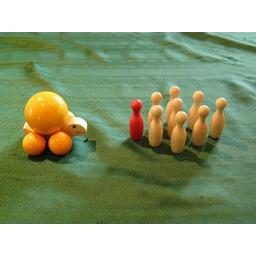 Schildi Strandkröte Zoom