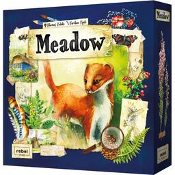 Meadow Cover 3d