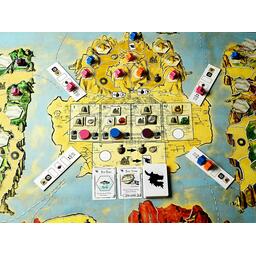 Dragon Boats of the Four Seas Zoom