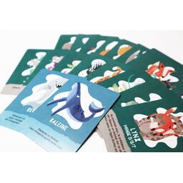 L'île des Prédateurs Zoom