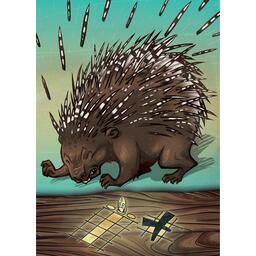 Kiwara Carte Hérison