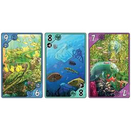 Sea Change Cartes