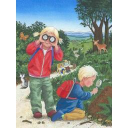 La Planète des Sens: La Vue Artwork