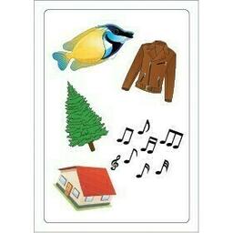 Tam Tam: Carnaval - La Fête de la Lettre S Carte