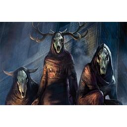 Horreur à Arkham: Le Jeu de Cartes - Renouveau - La Nuit de la Zélatrice Artwork