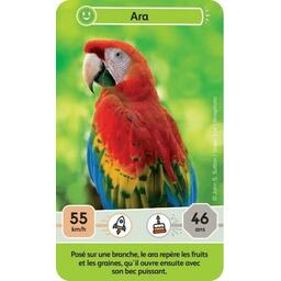 Défis Nature: Junior - Mystères de la Jungle Carte