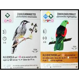 Wingspan: Extension Océanie Cartes