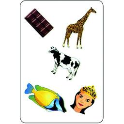 Tam Tam: Safari - CP - Niveau 2 Carte