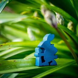 Everdell: Spirecrest Animaux