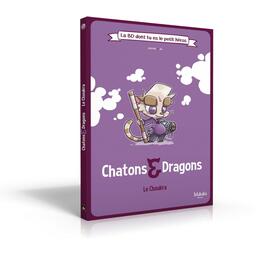 Chatons et Dragons: La BD Dont tu es le Petit Héros Cover 3d
