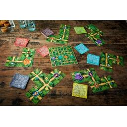 Karuba: Jeu de Cartes Eclate