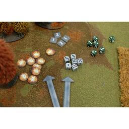 TANKS: Panther vs Sherman - Boîte d'Initiation Eclate