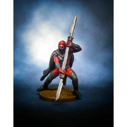 Star Wars: Assaut sur l'Empire - Champion de la Garde Royale Figurine