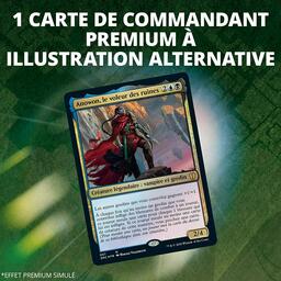 Magic: The Gathering - Commander - Attaque Furtive Story