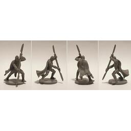 Star Wars: Assaut sur l'Empire - Champion de la Garde Royale Figurines