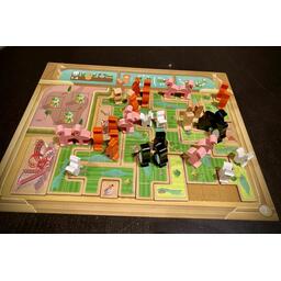 New York Zoo Plateau