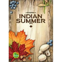 Indian Summer Cover