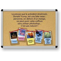 Complots Faciles pour Briller en Société Exemple